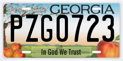 GA license plate PZG0723