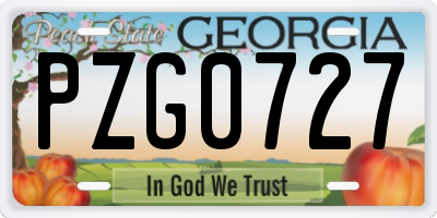 GA license plate PZG0727