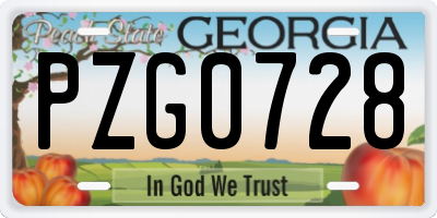 GA license plate PZG0728