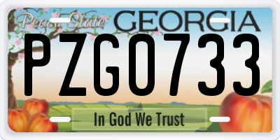 GA license plate PZG0733