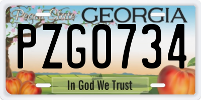 GA license plate PZG0734