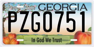 GA license plate PZG0751
