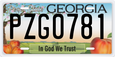 GA license plate PZG0781