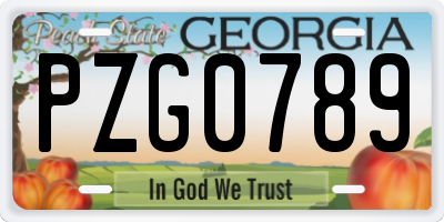 GA license plate PZG0789