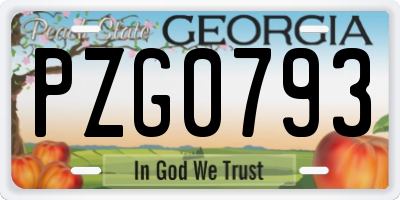 GA license plate PZG0793