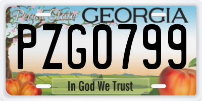 GA license plate PZG0799