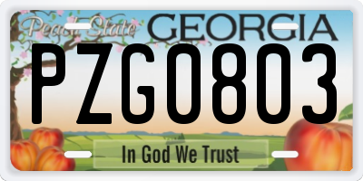 GA license plate PZG0803