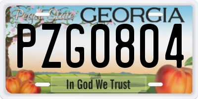 GA license plate PZG0804