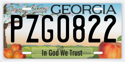 GA license plate PZG0822