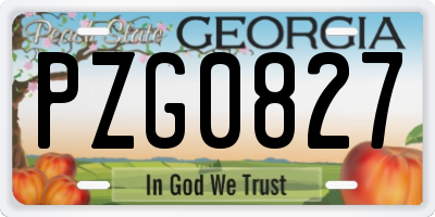 GA license plate PZG0827
