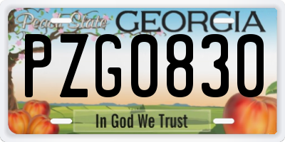 GA license plate PZG0830