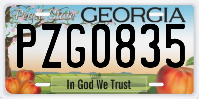 GA license plate PZG0835