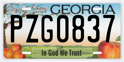 GA license plate PZG0837