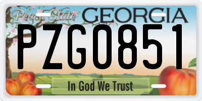 GA license plate PZG0851