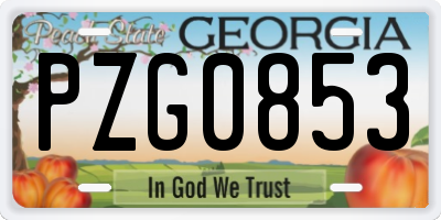 GA license plate PZG0853
