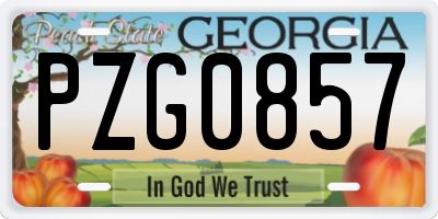 GA license plate PZG0857