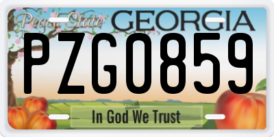 GA license plate PZG0859