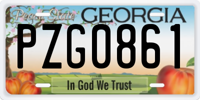 GA license plate PZG0861