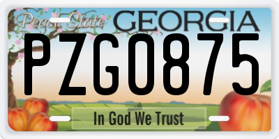 GA license plate PZG0875