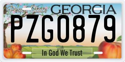 GA license plate PZG0879