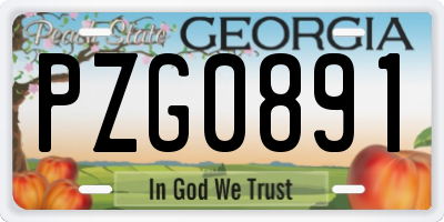 GA license plate PZG0891