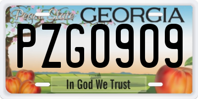 GA license plate PZG0909