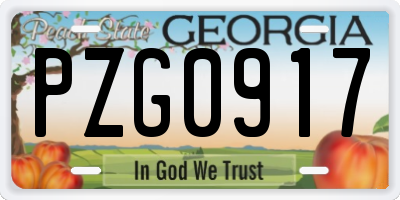 GA license plate PZG0917