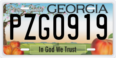 GA license plate PZG0919
