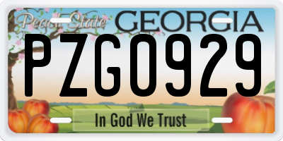 GA license plate PZG0929