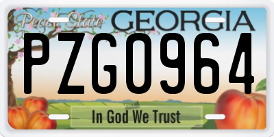GA license plate PZG0964