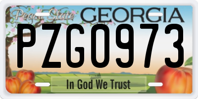 GA license plate PZG0973