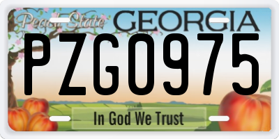 GA license plate PZG0975