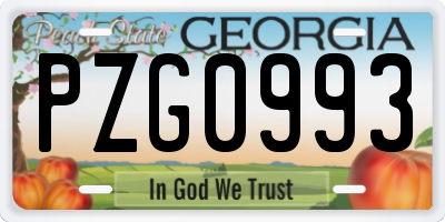 GA license plate PZG0993