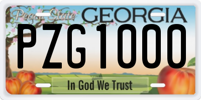 GA license plate PZG1000
