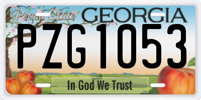 GA license plate PZG1053