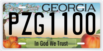 GA license plate PZG1100