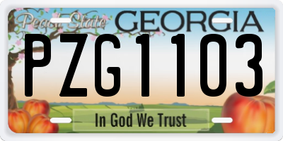 GA license plate PZG1103