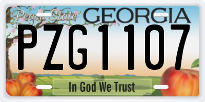 GA license plate PZG1107