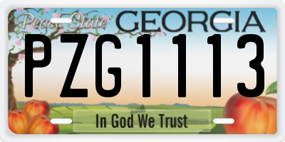 GA license plate PZG1113