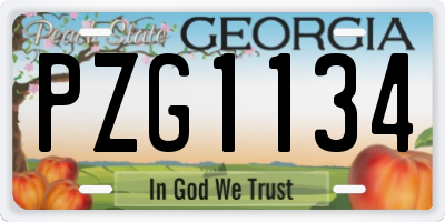 GA license plate PZG1134