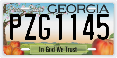 GA license plate PZG1145