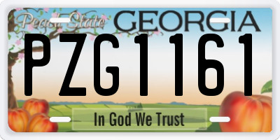 GA license plate PZG1161