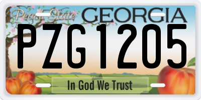 GA license plate PZG1205