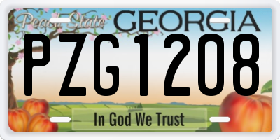 GA license plate PZG1208