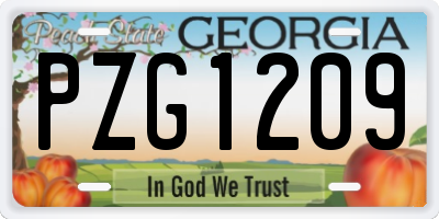 GA license plate PZG1209