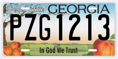 GA license plate PZG1213