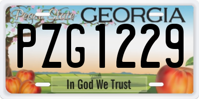 GA license plate PZG1229