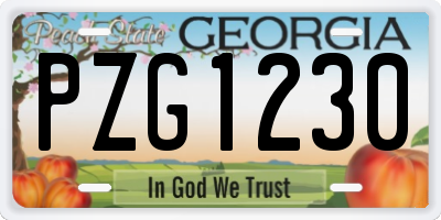 GA license plate PZG1230