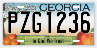 GA license plate PZG1236