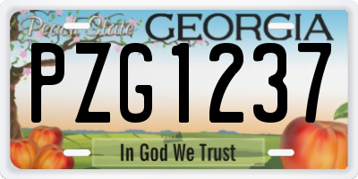 GA license plate PZG1237